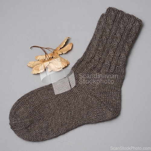 Image of a pair of woolen knitted socks and dried samaras on a neutral ba