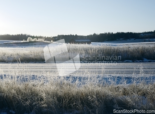 Image of beautiful winter landscape in Finland, frozen grass glitter in t