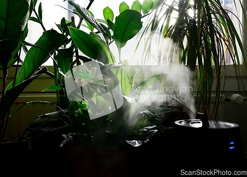 Image of humidifier releases water vapor into the air next to houseplants
