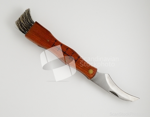 Image of mushroom knife with brush on white 