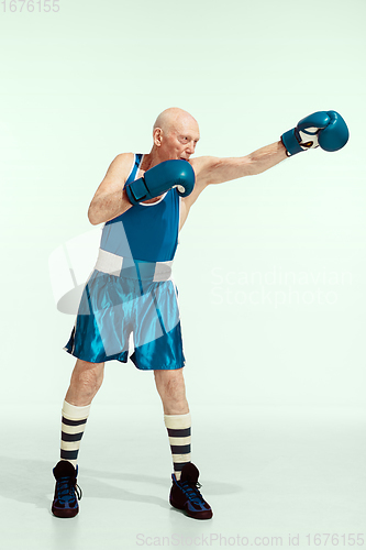 Image of Senior man wearing sportwear boxing isolated on studio background. Concept of sport, activity, movement, wellbeing. Copyspace, ad.