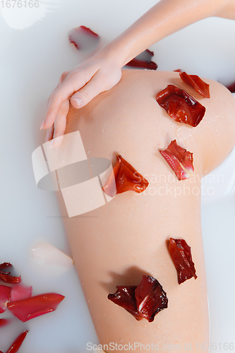 Image of Close up female hip in the milk bath with soft white glowing and rose petals. Copyspace for advertising. Beauty, fashion, style, bodycare concept.