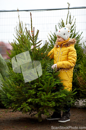 Image of little girl choosing christmas tree at market