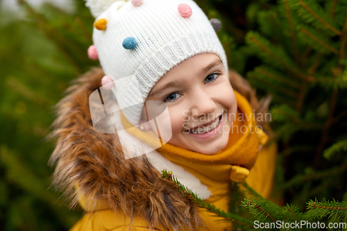 Image of little girl choosing christmas tree at market