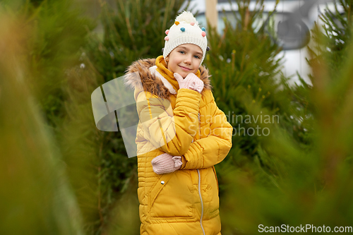 Image of little girl choosing christmas tree at market