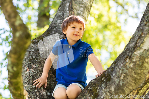 Image of happy little boy climbing tree at park