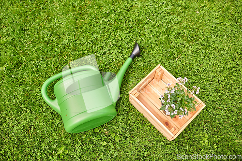 Image of watering can and flowers in wooden box at garden