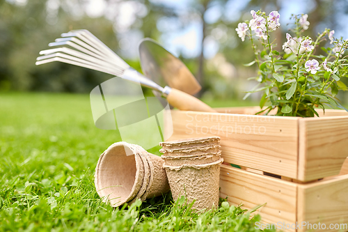 Image of garden tools and flowers in wooden box at summer