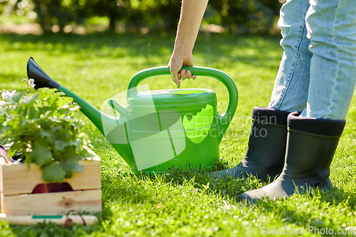 Image of woman with garden tools in wooden box at summer