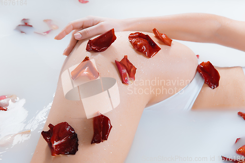 Image of Close up female hip in the milk bath with soft white glowing and rose petals. Copyspace for advertising. Beauty, fashion, style, bodycare concept.