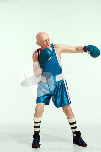 Image of Senior man wearing sportwear boxing isolated on studio background. Concept of sport, activity, movement, wellbeing. Copyspace, ad.