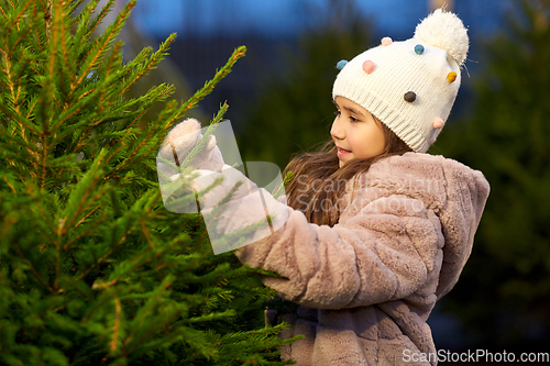 Image of little girl choosing christmas tree at market