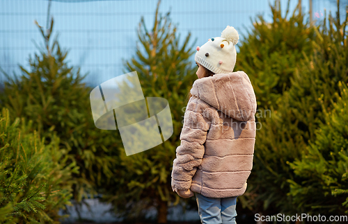 Image of little girl choosing christmas tree at market