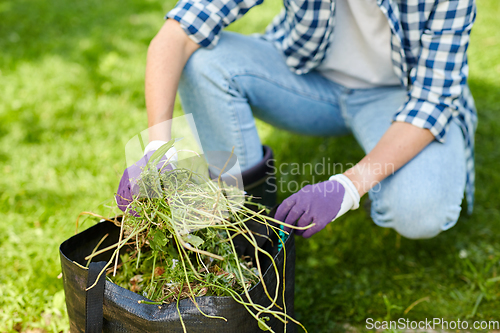 Image of woman with bag full of weed at summer garden