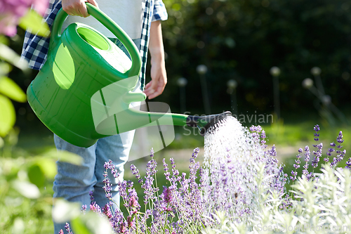 Image of young woman watering flowers at garden