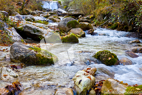 Image of Mountain stream in old forest.