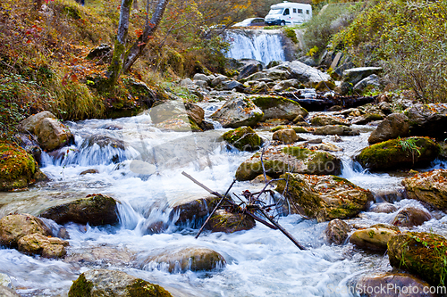 Image of Mountain stream in old forest.