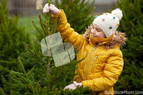 Image of little girl choosing christmas tree at market