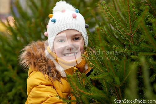 Image of little girl choosing christmas tree at market