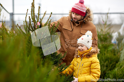 Image of happy family choosing christmas tree at market