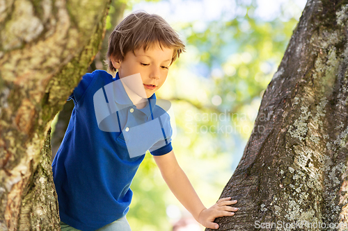 Image of happy little boy climbing tree at park