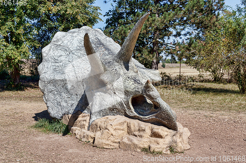 Image of prehistoric dinosaur triceratops skull