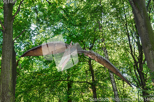 Image of prehistoric flying dinosaur Pteranodon in nature