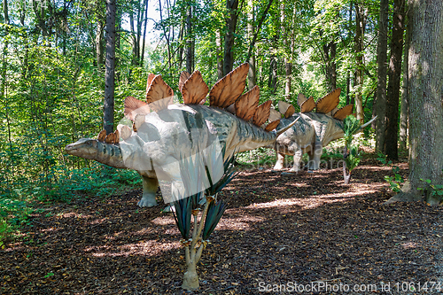 Image of prehistoric dinosaur stegosaurus in nature