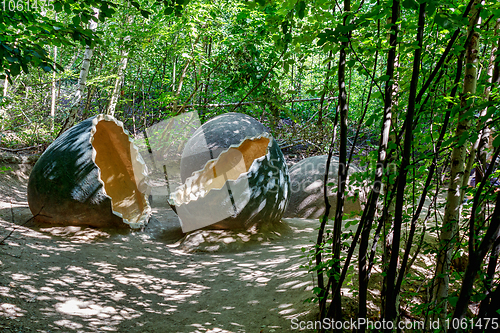 Image of prehistoric dinosaur eggs in nature environment