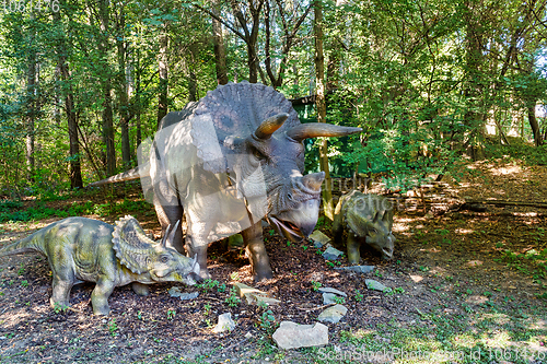 Image of prehistoric dinosaur triceratops in nature