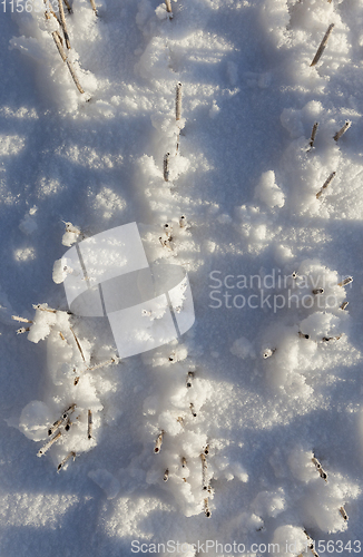 Image of Snow covered field