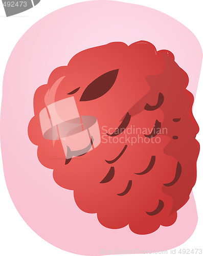 Image of Raspberry fruit illustration