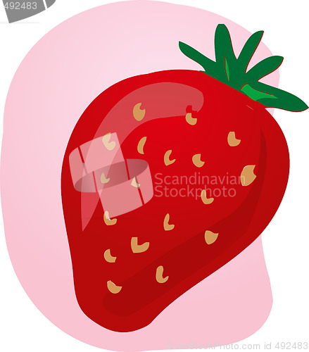 Image of Strawberry fruit illustration