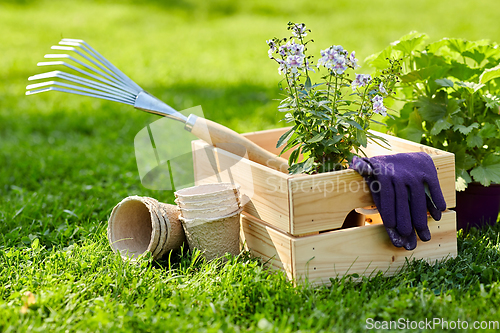 Image of garden tools and flowers in wooden box at summer