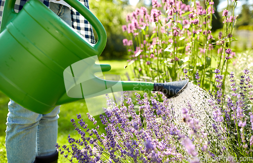 Image of young woman watering flowers at garden