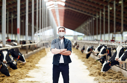 Image of male farmer in mask with cows on dairy farm