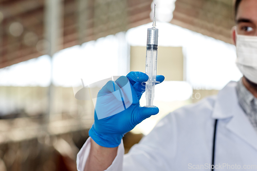 Image of veterinarian in mask with syringe on dairy farm