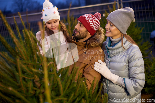 Image of happy family choosing christmas tree at market