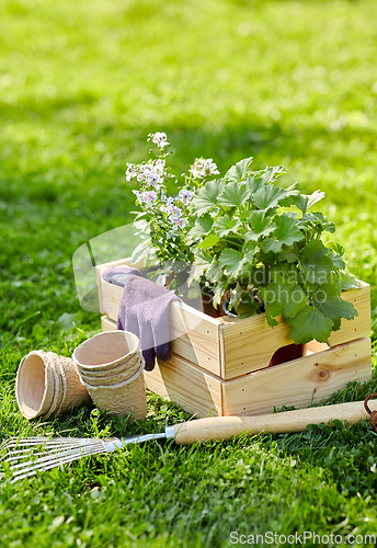 Image of garden tools and flowers in wooden box at summer