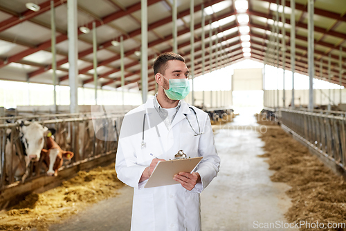 Image of veterinarian in mask with cows on dairy farm