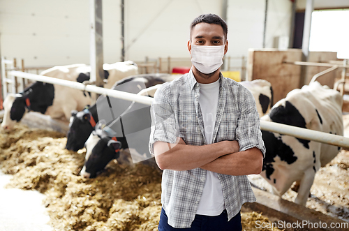 Image of male farmer in mask with cows on dairy farm