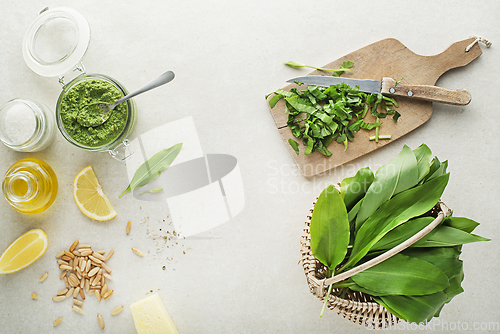 Image of Wild garlic ramson pesto