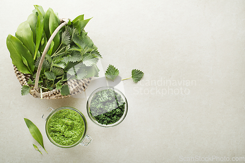 Image of Pesto ramson wild garlic nettle