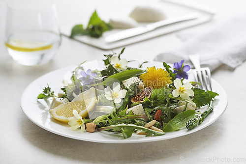 Image of Dandelion salad spring