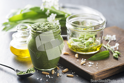 Image of Wild garlic ramson pesto