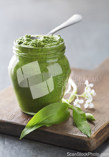 Image of Wild garlic pesto