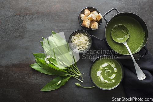 Image of Wild garlic ramson soop