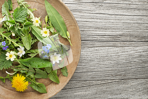 Image of Spring plants food