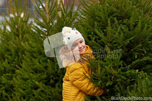 Image of little girl choosing christmas tree at market