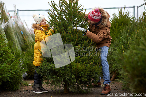 Image of happy family choosing christmas tree at market